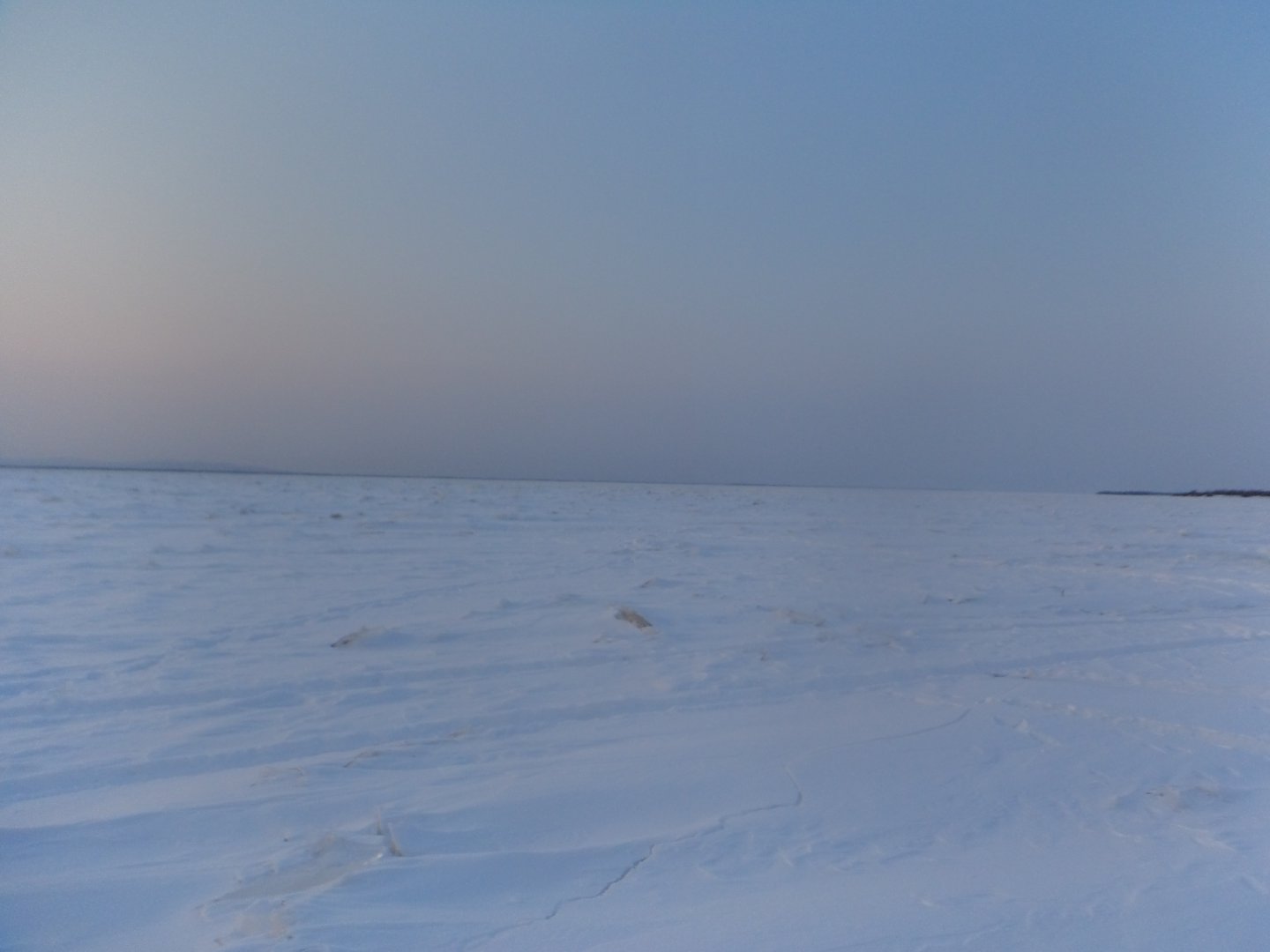 DSC07677.JPG