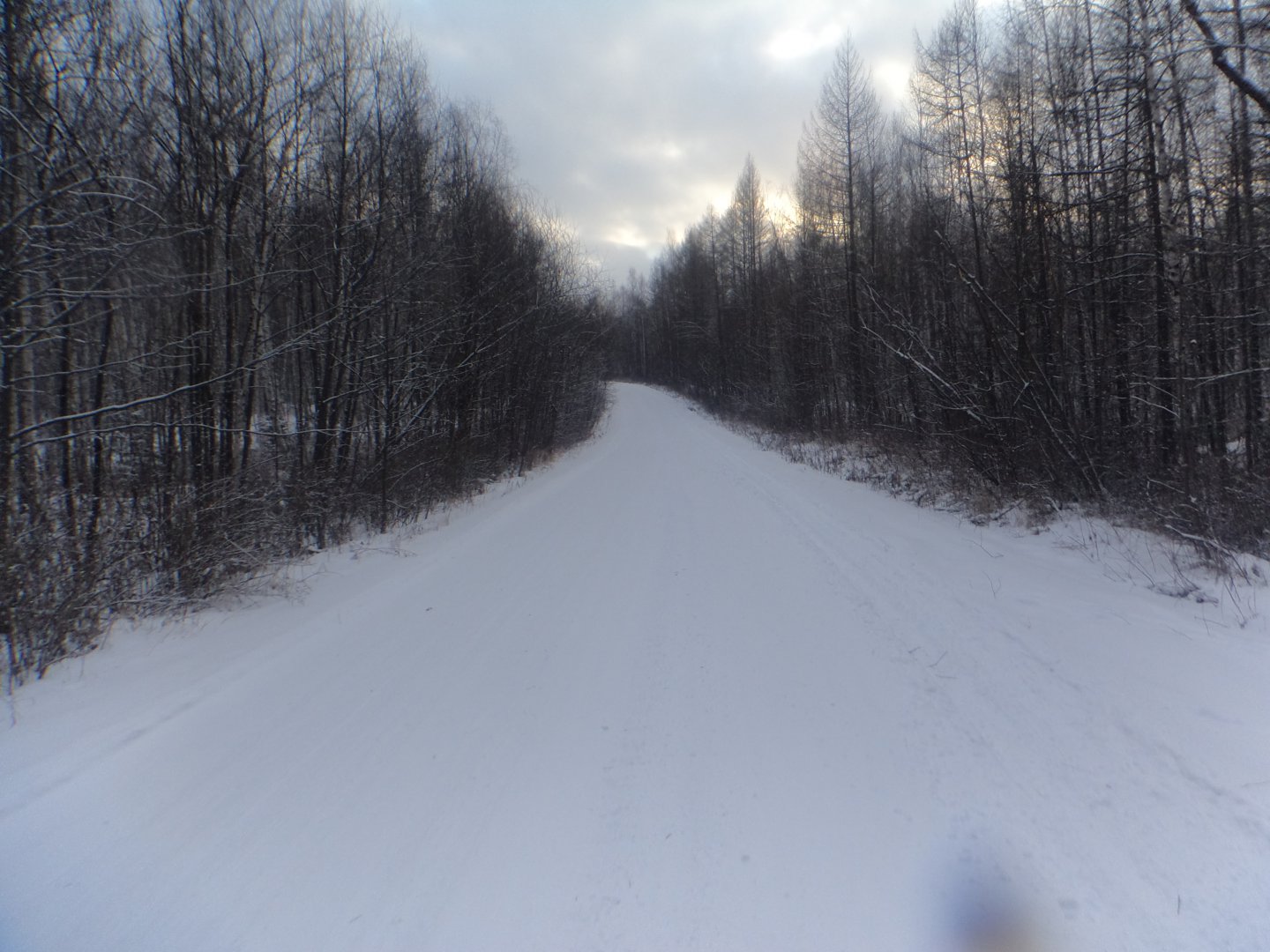 DSC07682.JPG