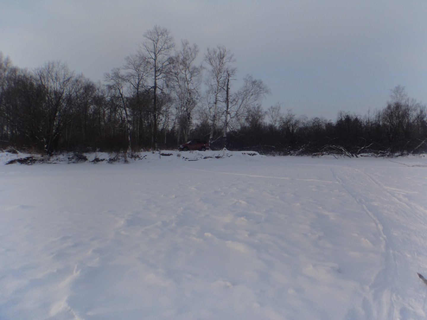 DSC07744.JPG