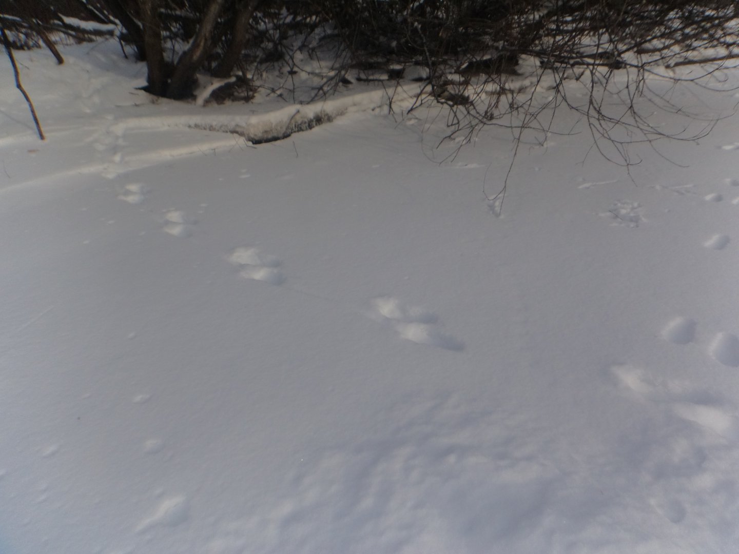 DSC07748.JPG