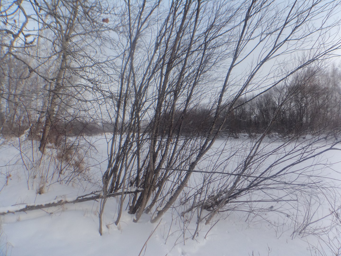 DSC07755.JPG