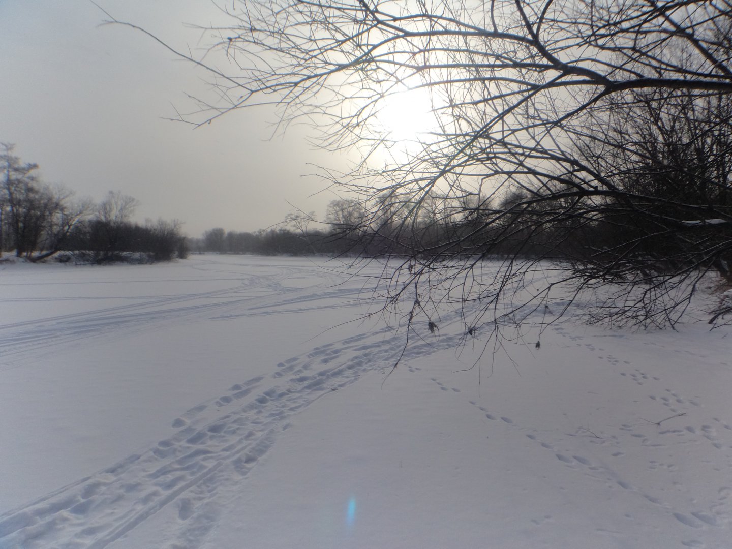 DSC07757.JPG