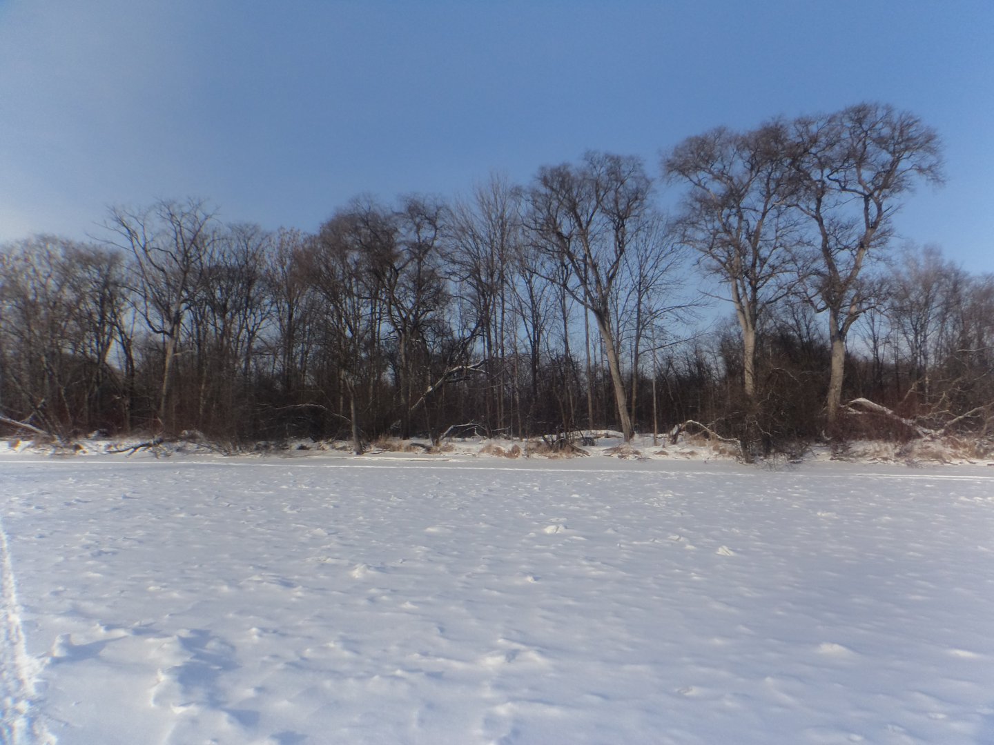 DSC07764.JPG