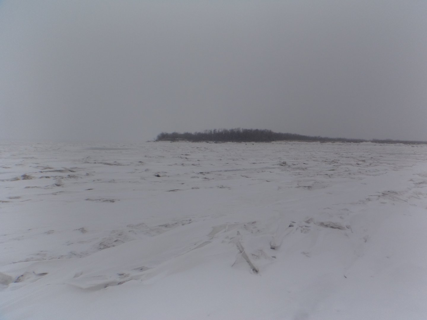 DSC07777.JPG