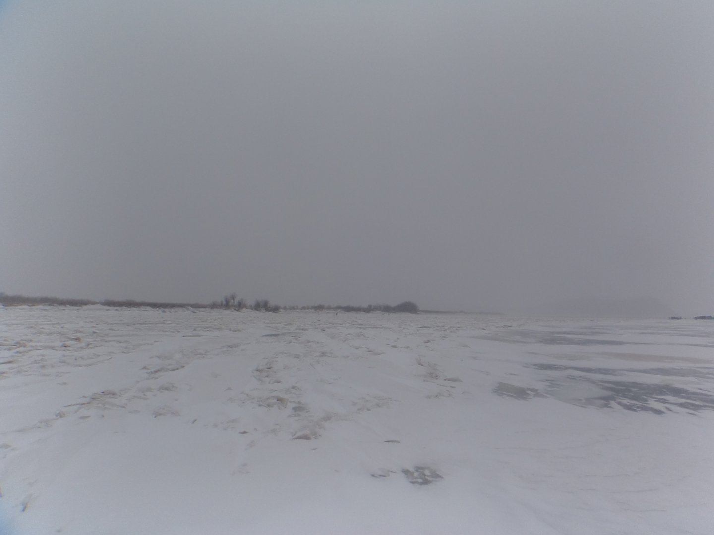 DSC07778.JPG