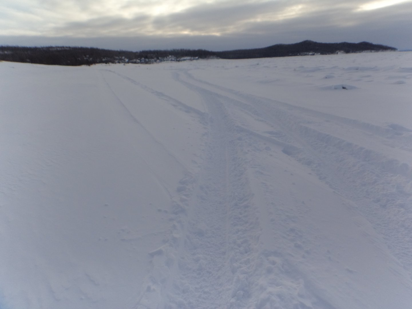 DSC07897.JPG