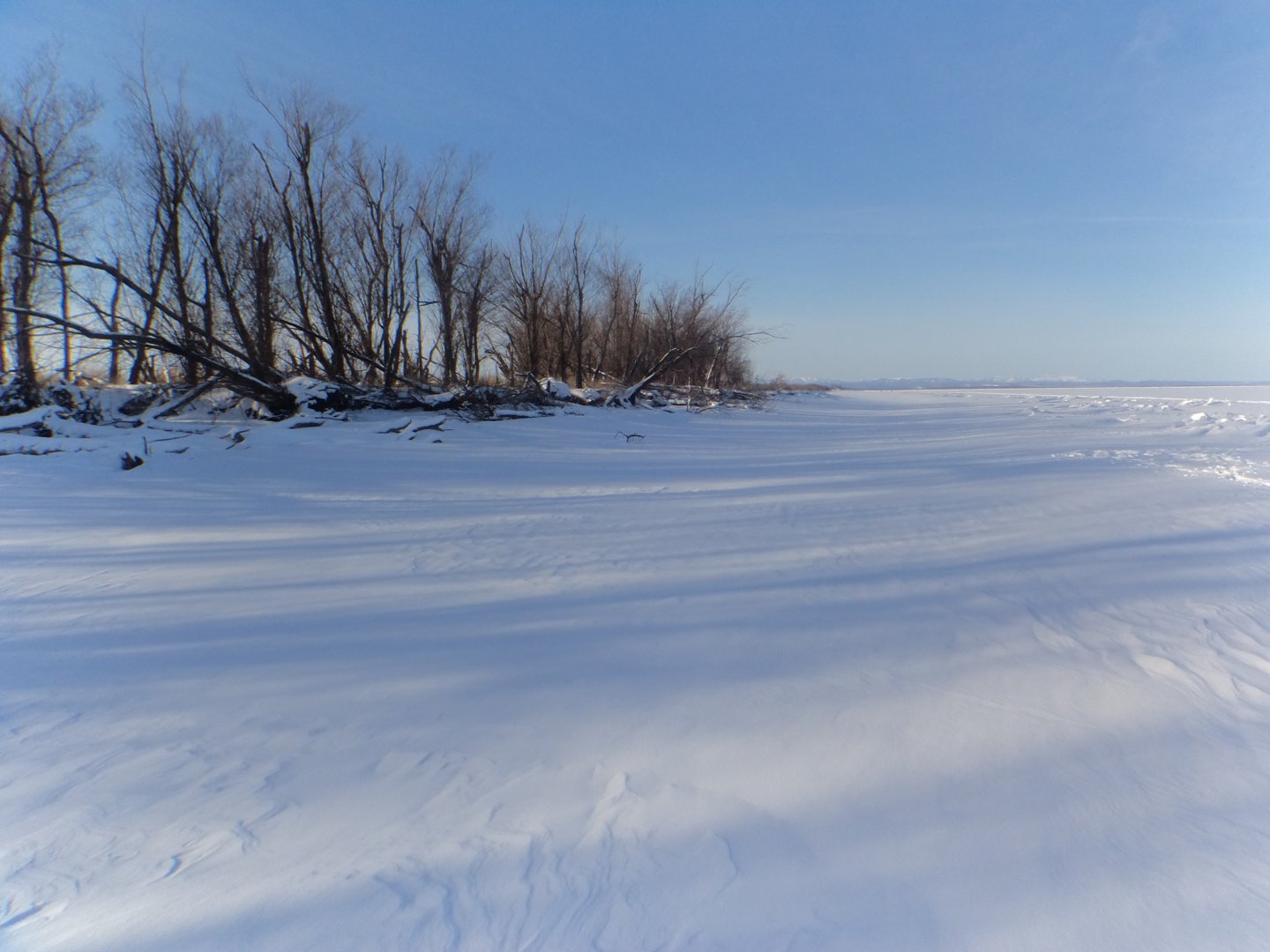 DSC07912.JPG