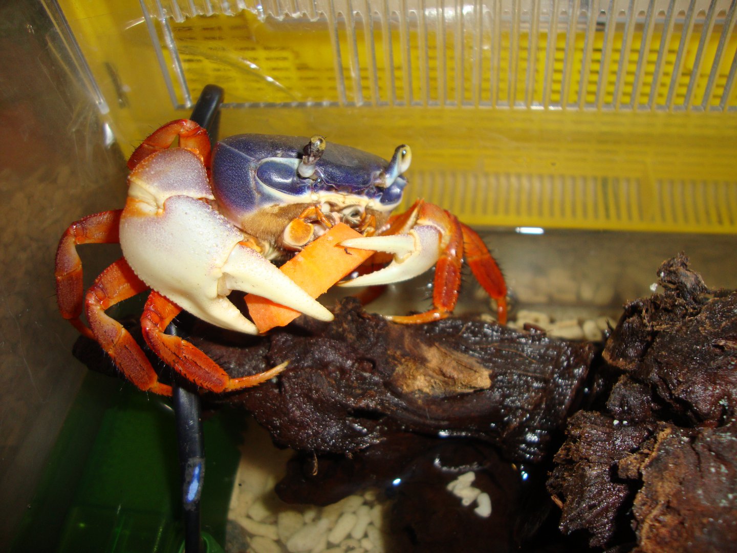 DSC07914.JPG