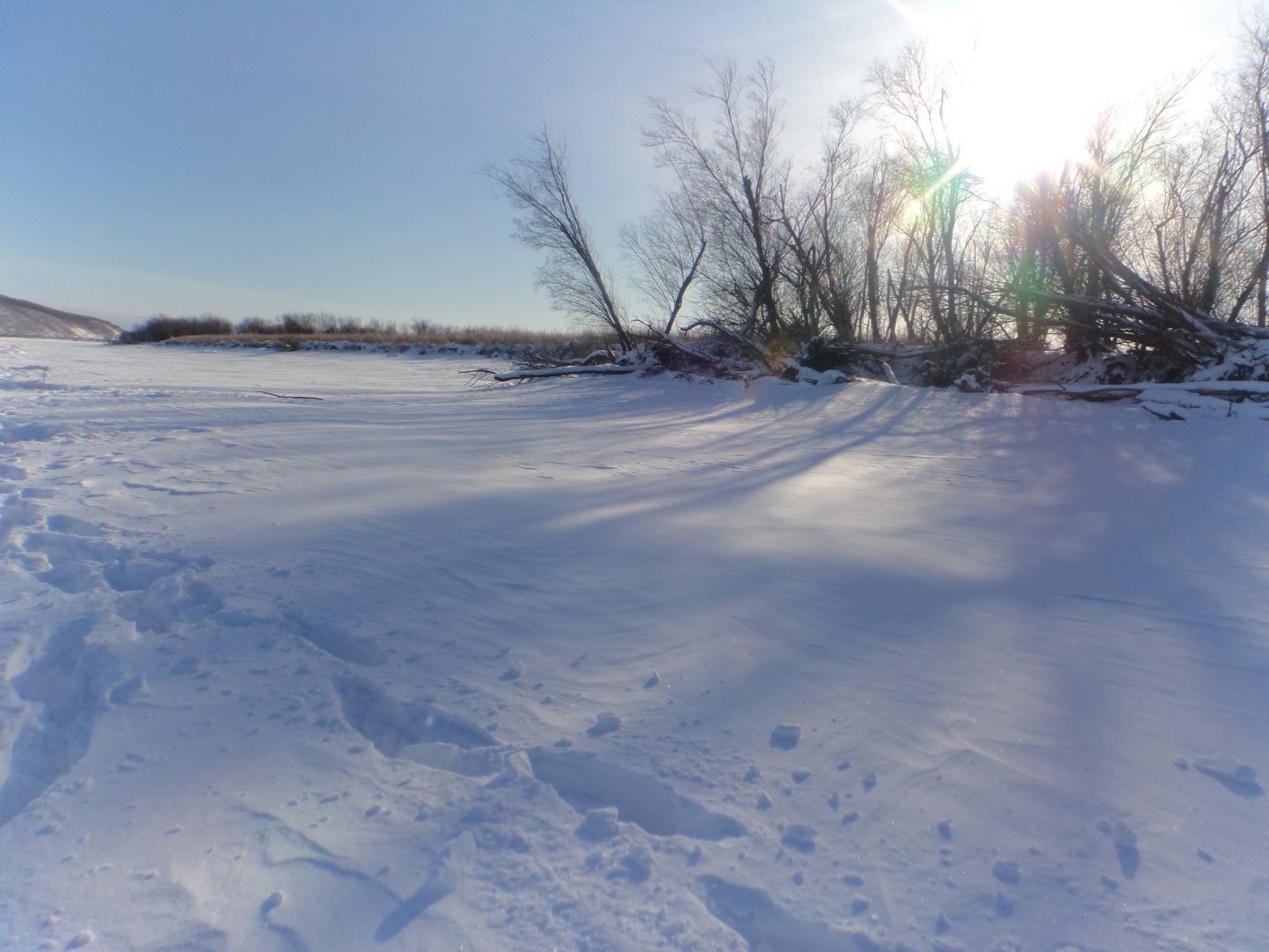 DSC07914.JPG
