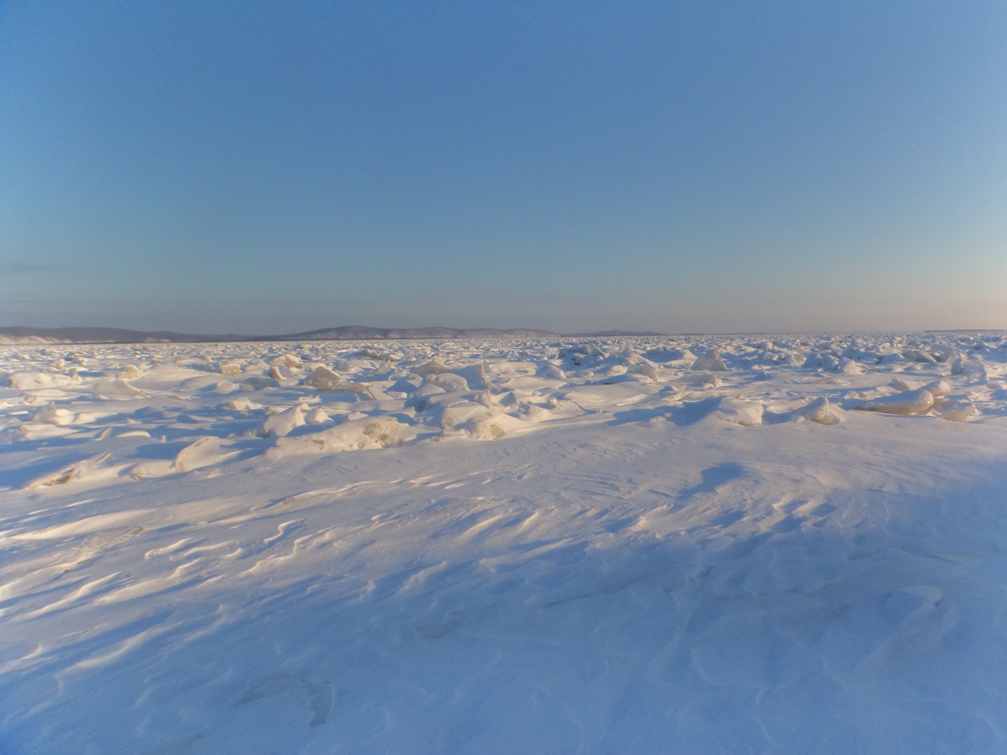DSC07950.JPG