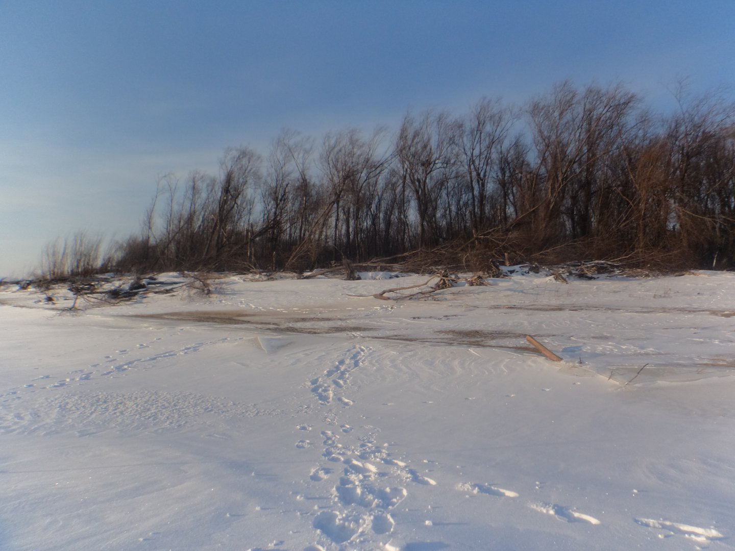 DSC07976.JPG