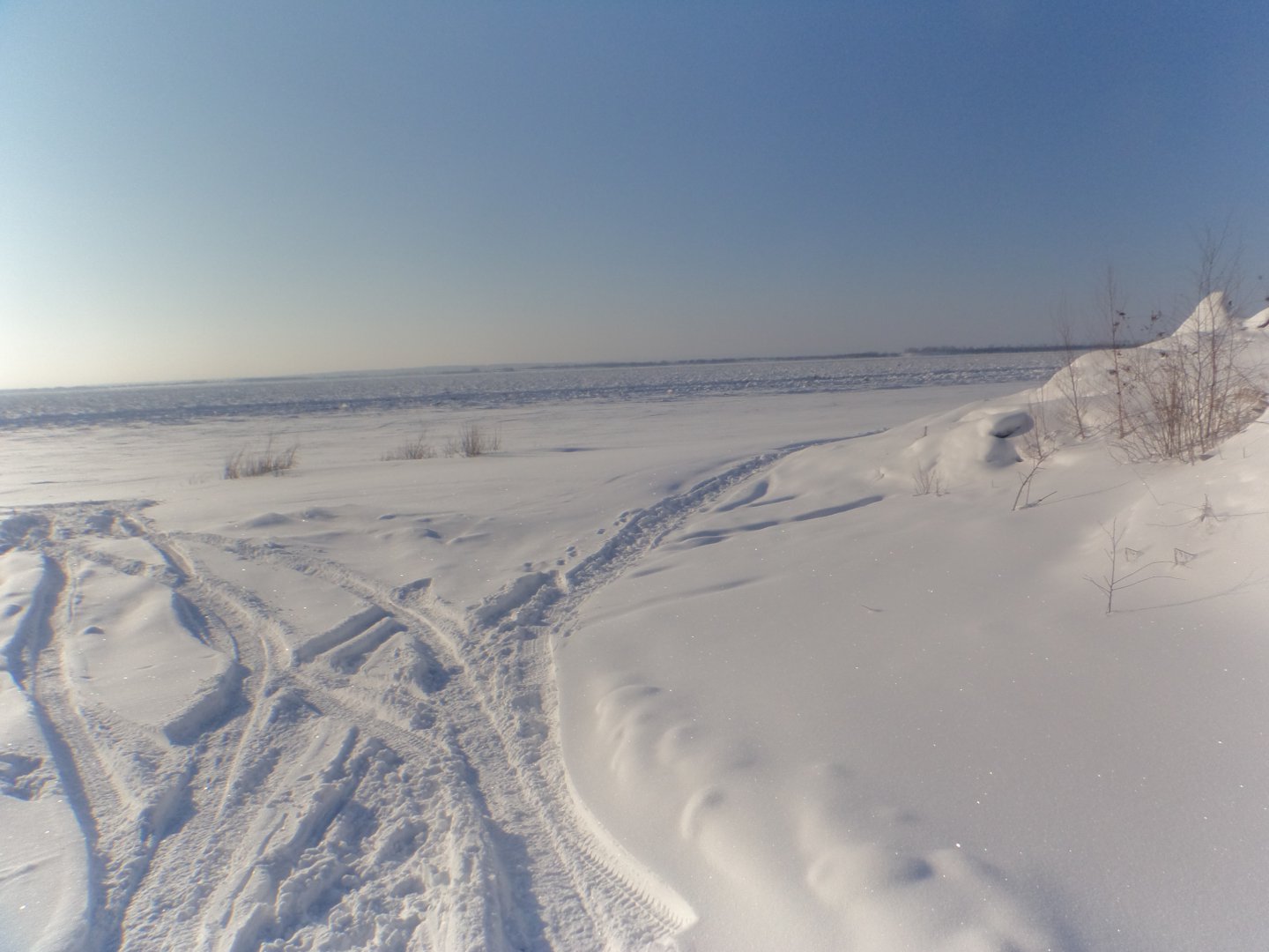 DSC07980.JPG