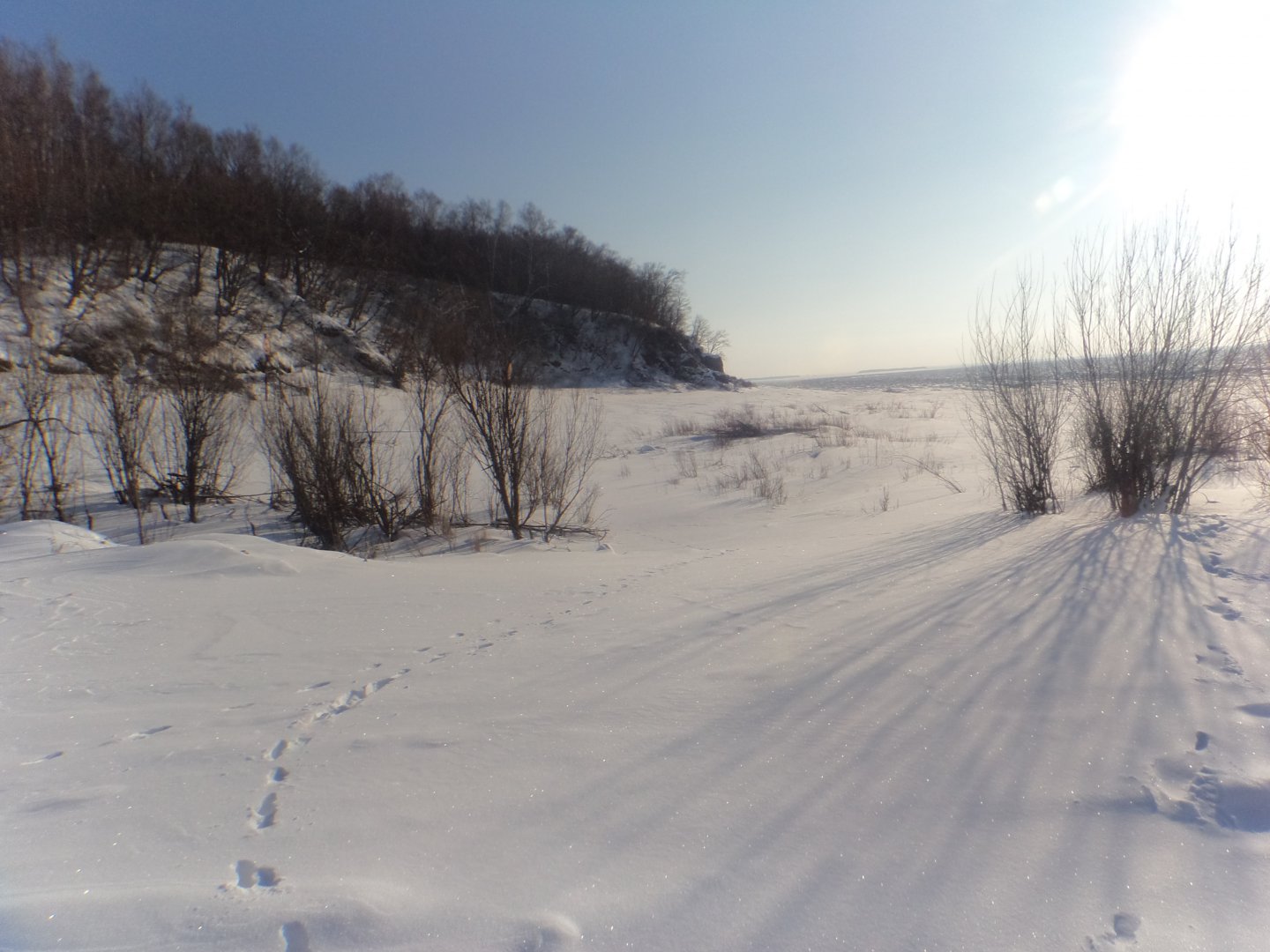 DSC07981.JPG