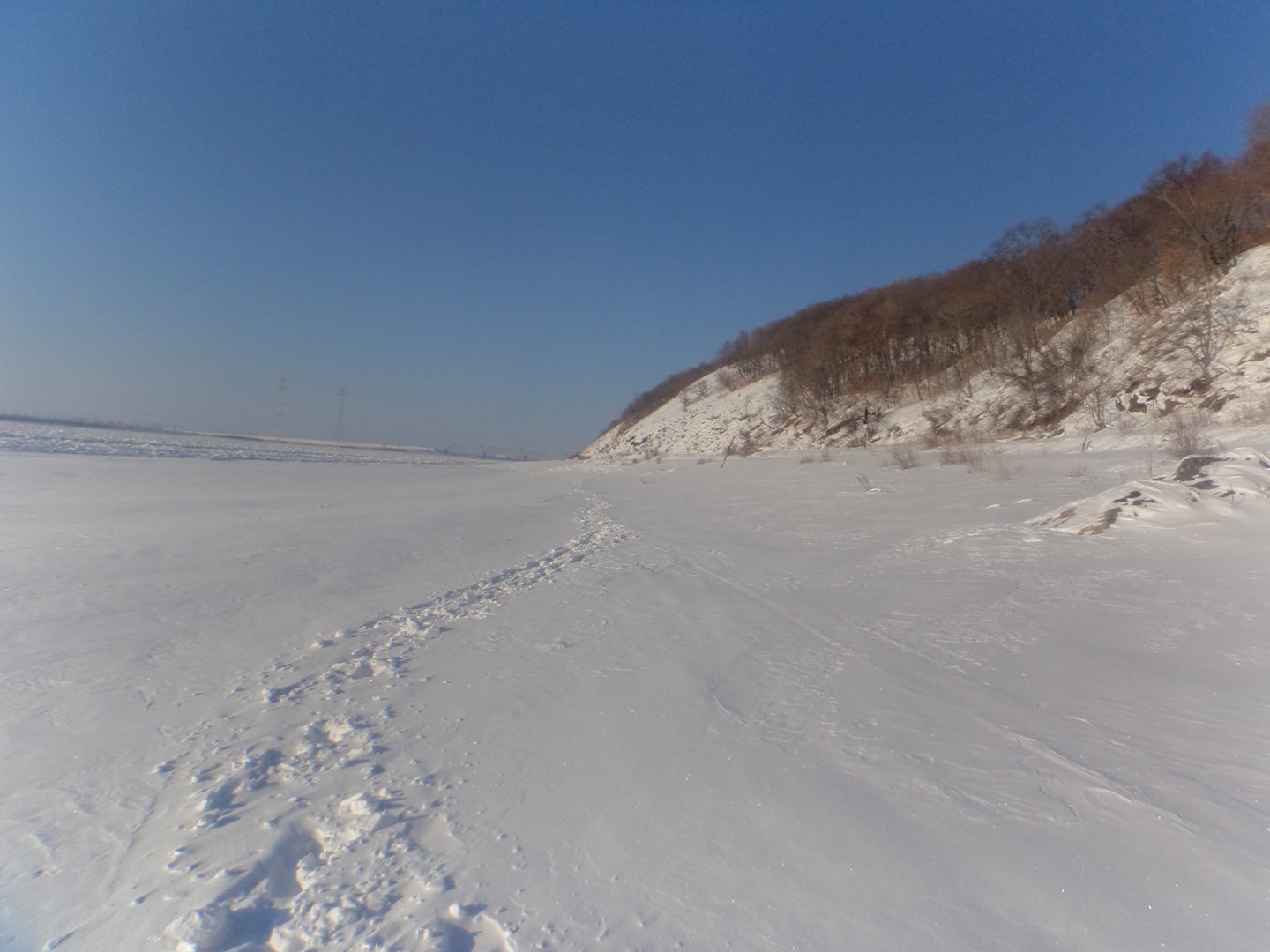 DSC07982.JPG