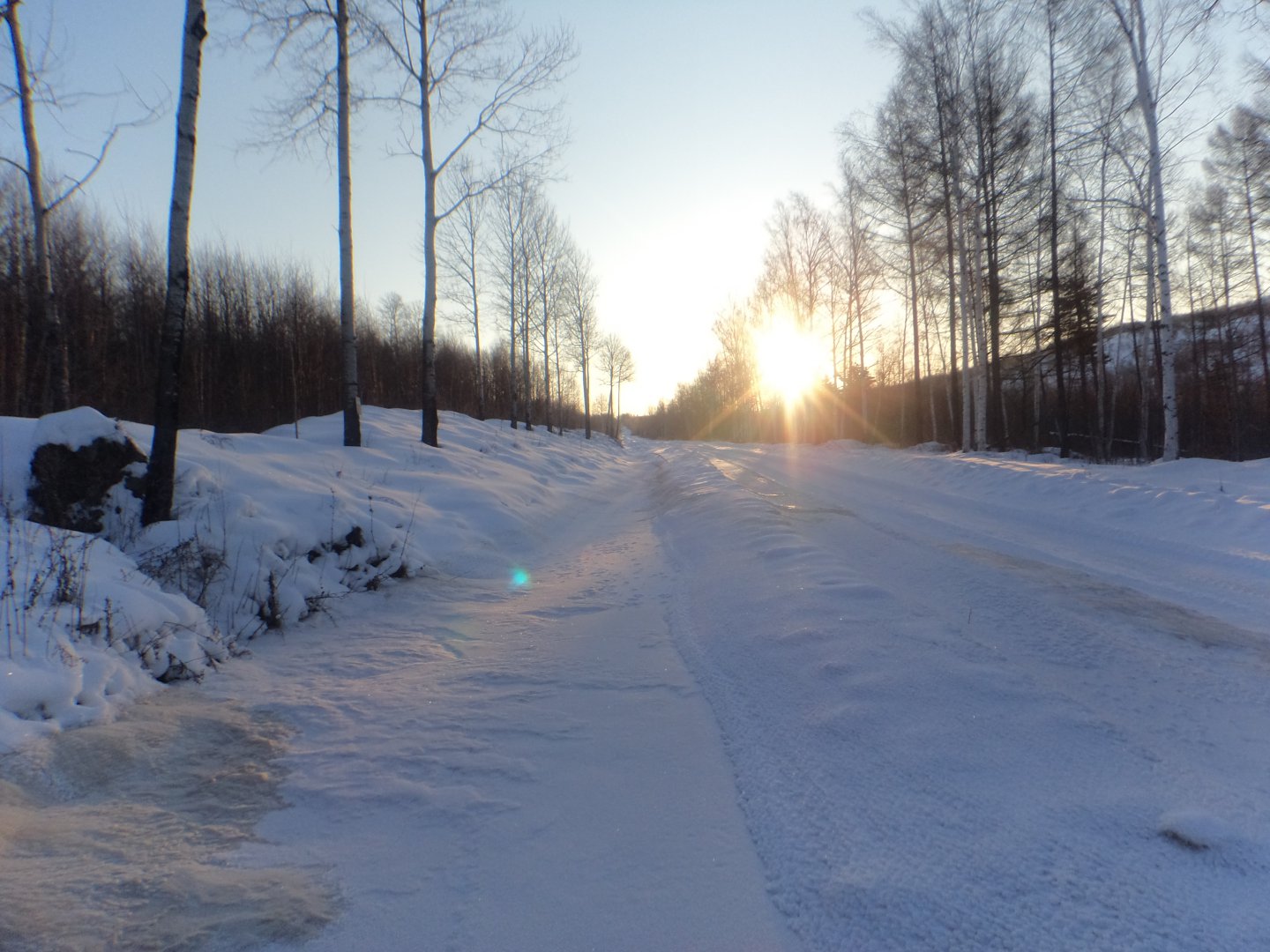 DSC07996.JPG