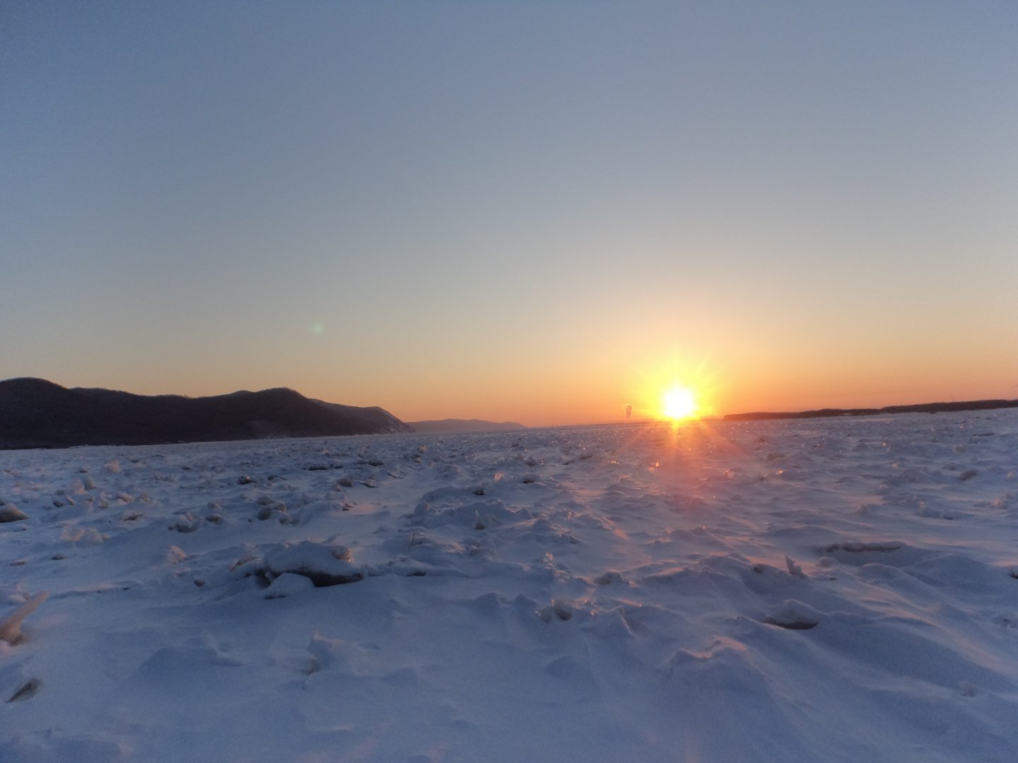DSC08000.JPG