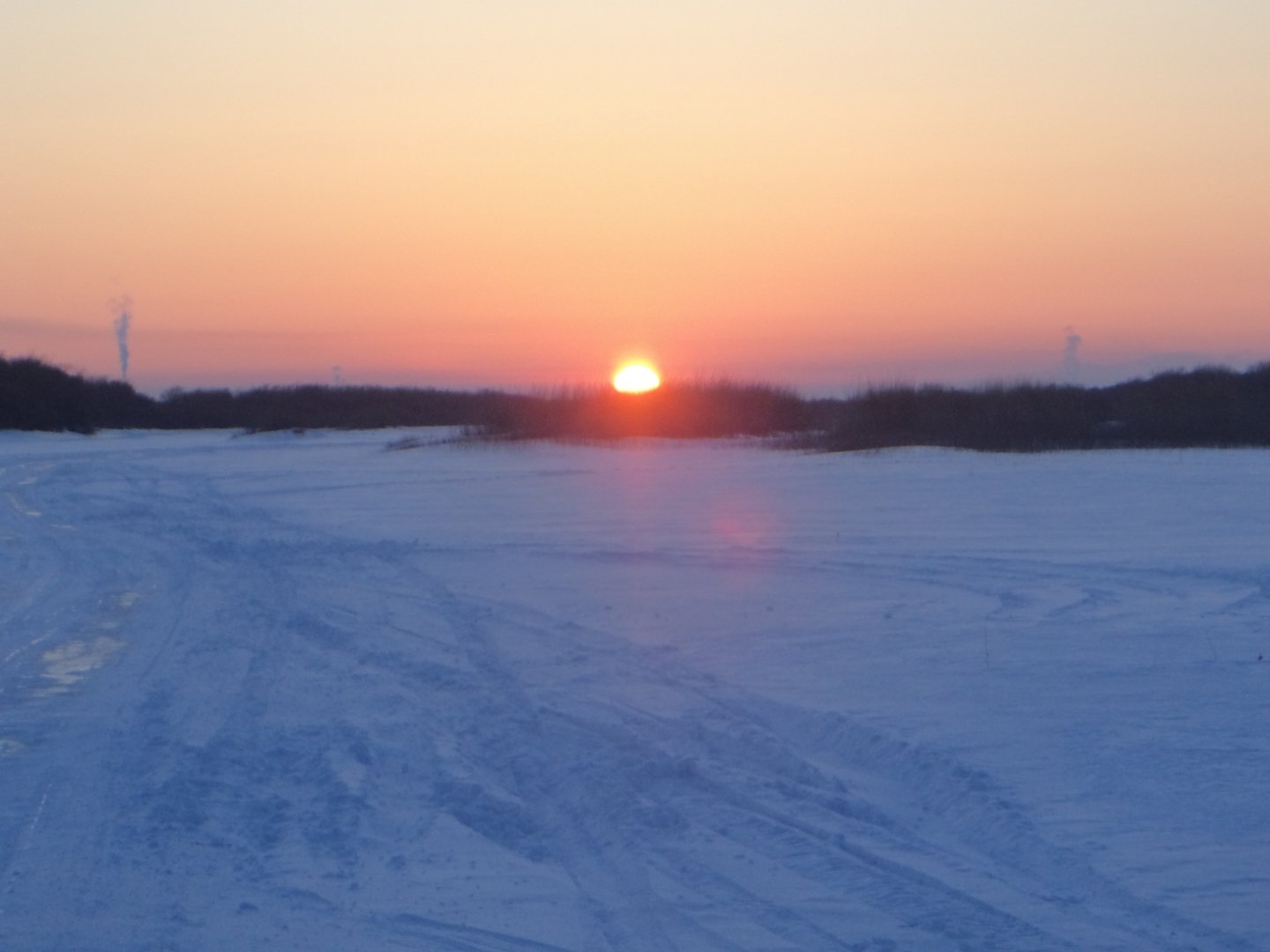 DSC08004.JPG