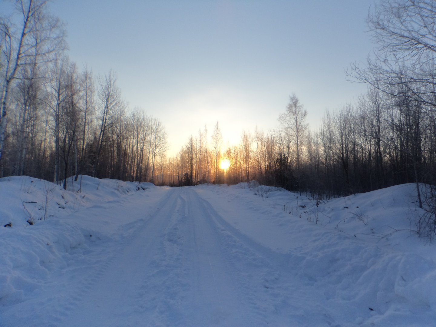 DSC08007.JPG