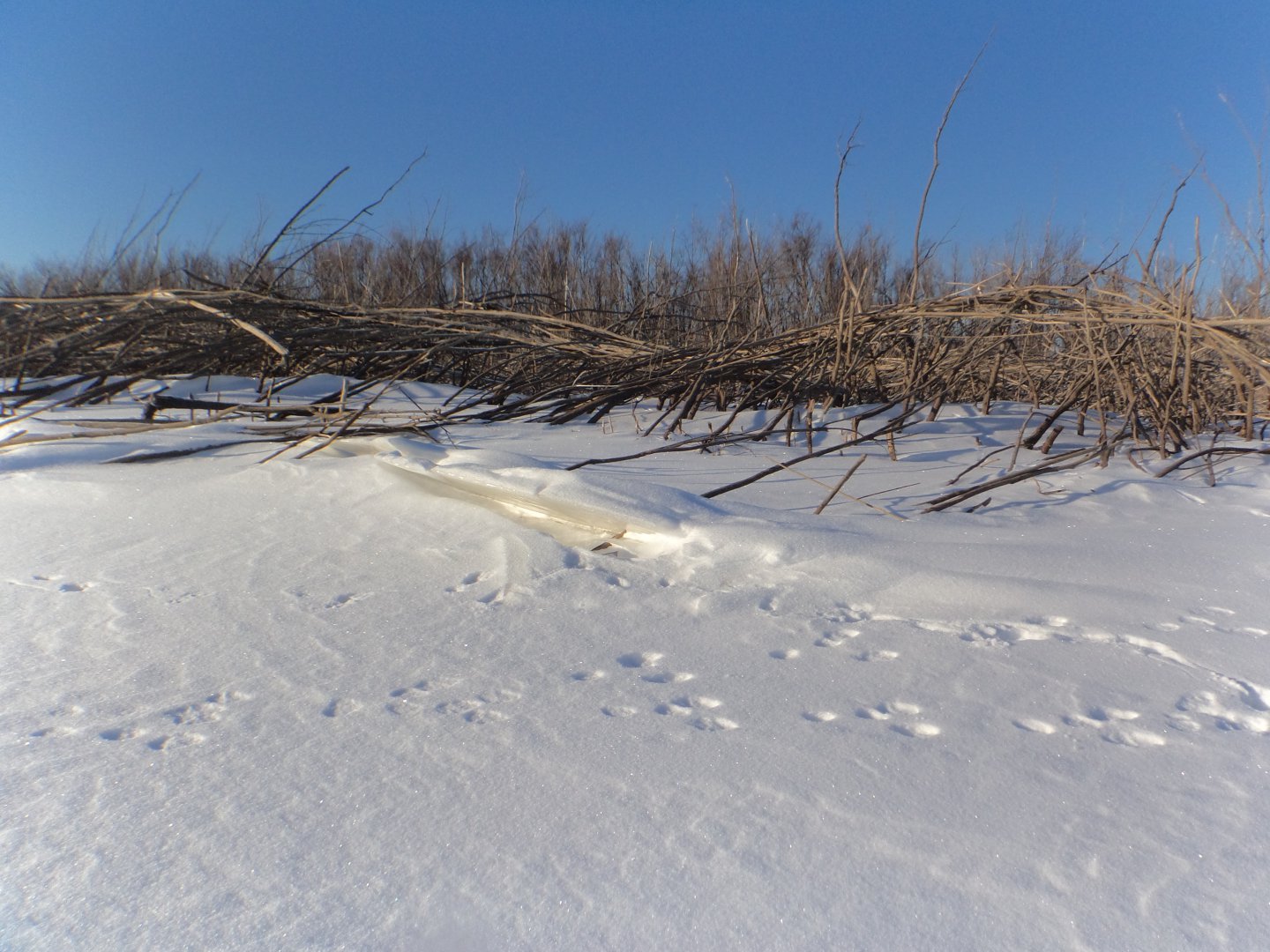DSC08016.JPG
