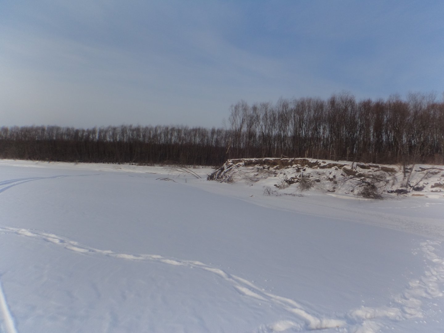 DSC08023.JPG