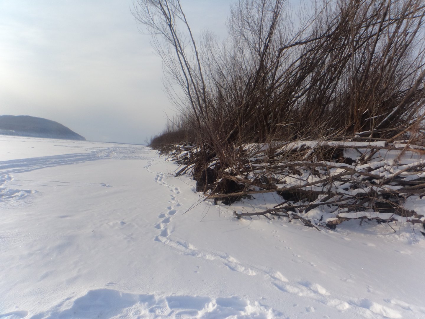 DSC08026.JPG