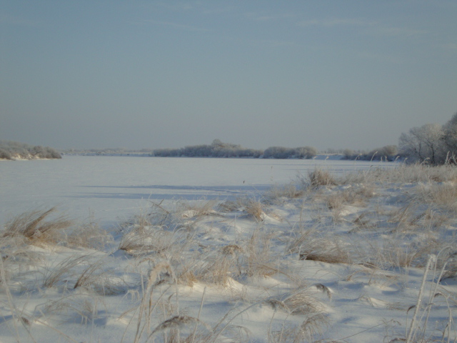 DSC08039.JPG DSC08039.JPG