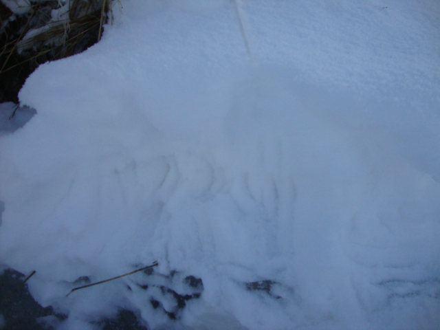 DSC08043.JPG DSC08043.JPG