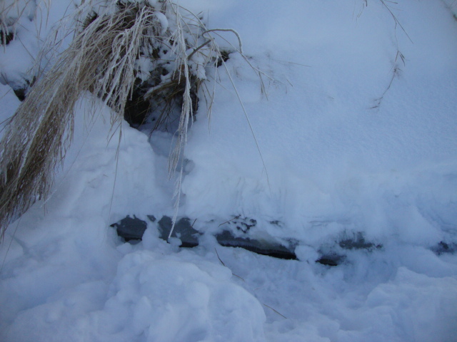 DSC08044.JPG DSC08044.JPG