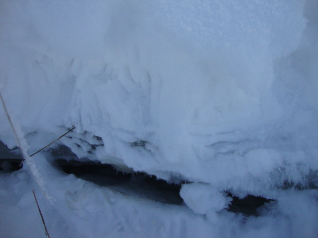 DSC08045.JPG DSC08045.JPG