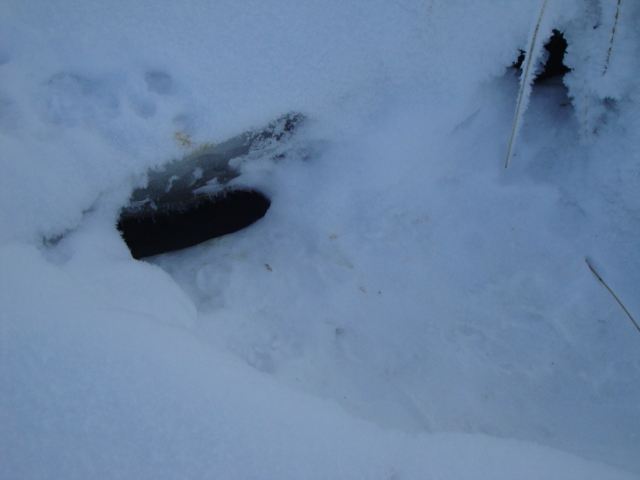 DSC08048.JPG DSC08048.JPG