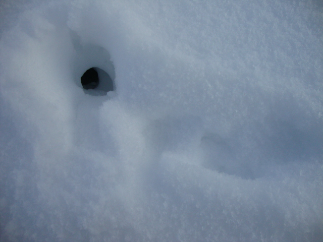 DSC08049.JPG DSC08049.JPG