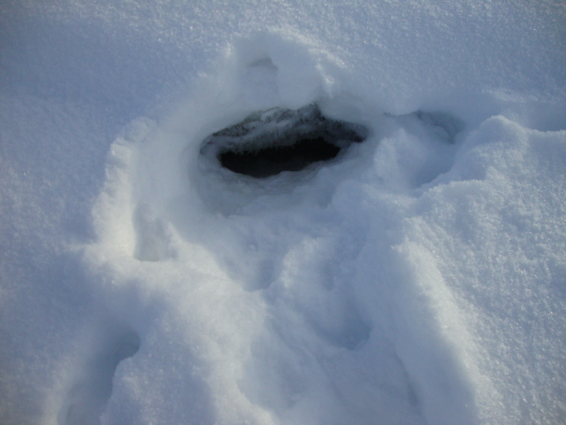 DSC08050.JPG DSC08050.JPG