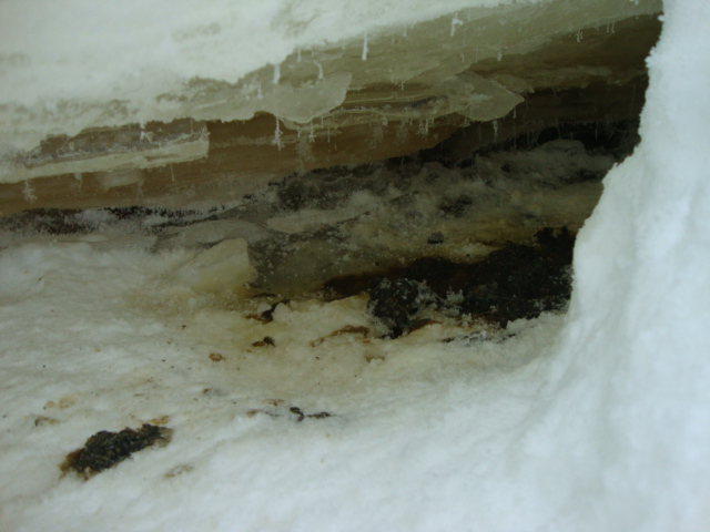 DSC08051.JPG DSC08051.JPG