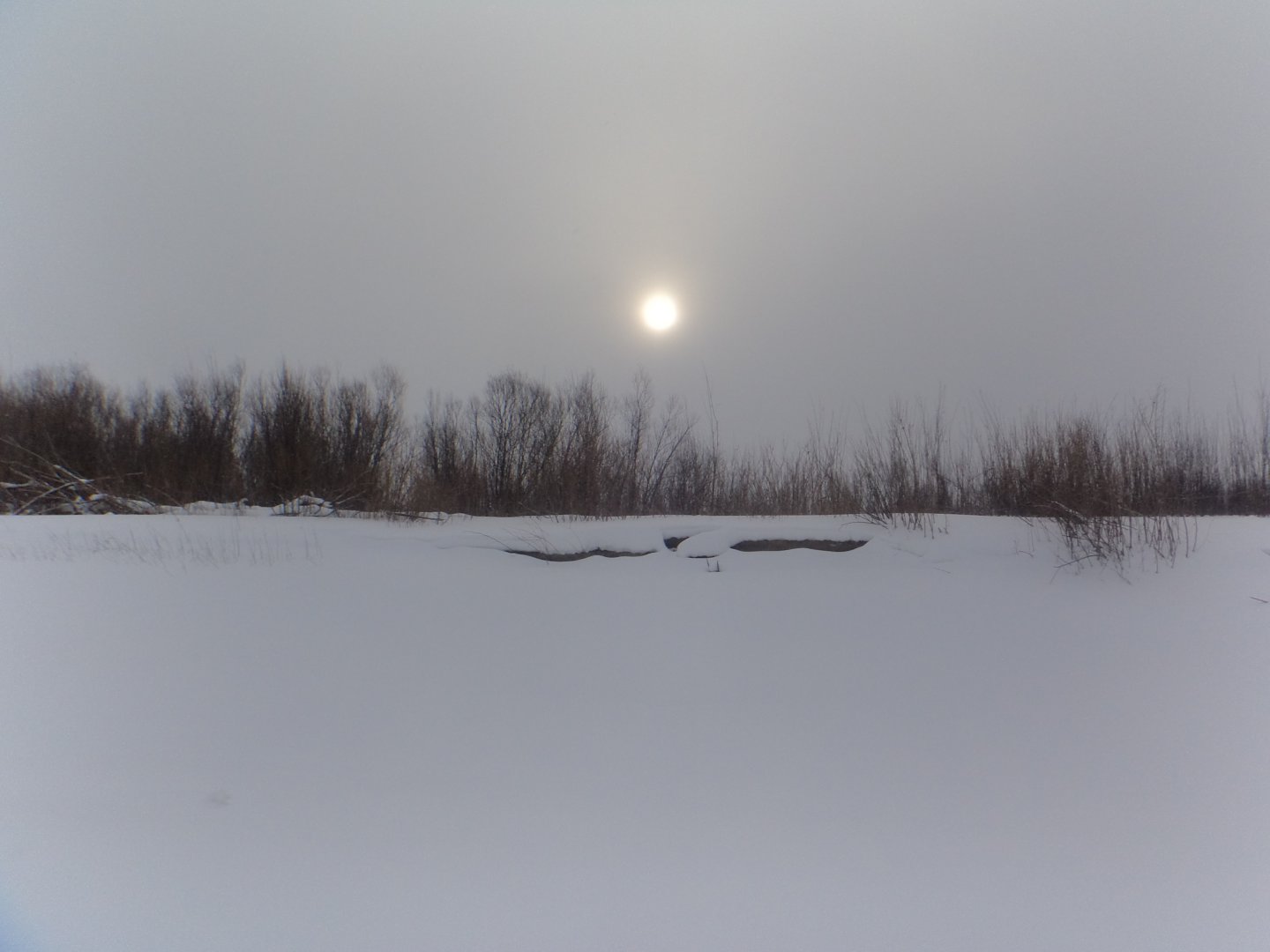 DSC08052.JPG