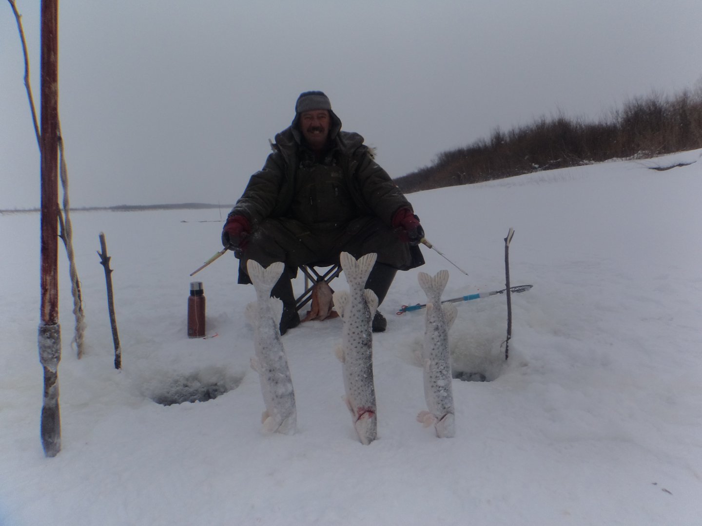 DSC08059.JPG