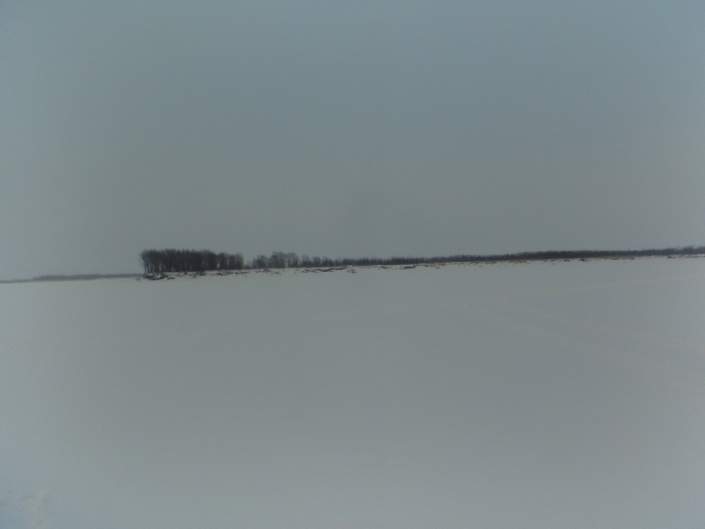 DSC08068.JPG