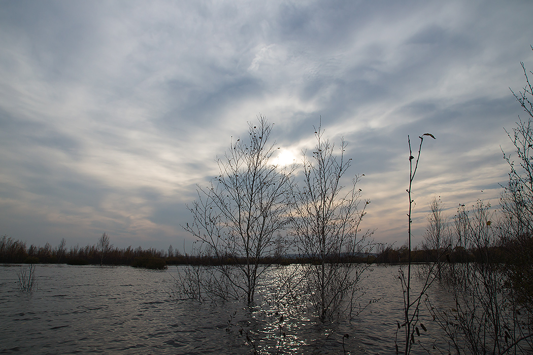 DSC08069.jpg