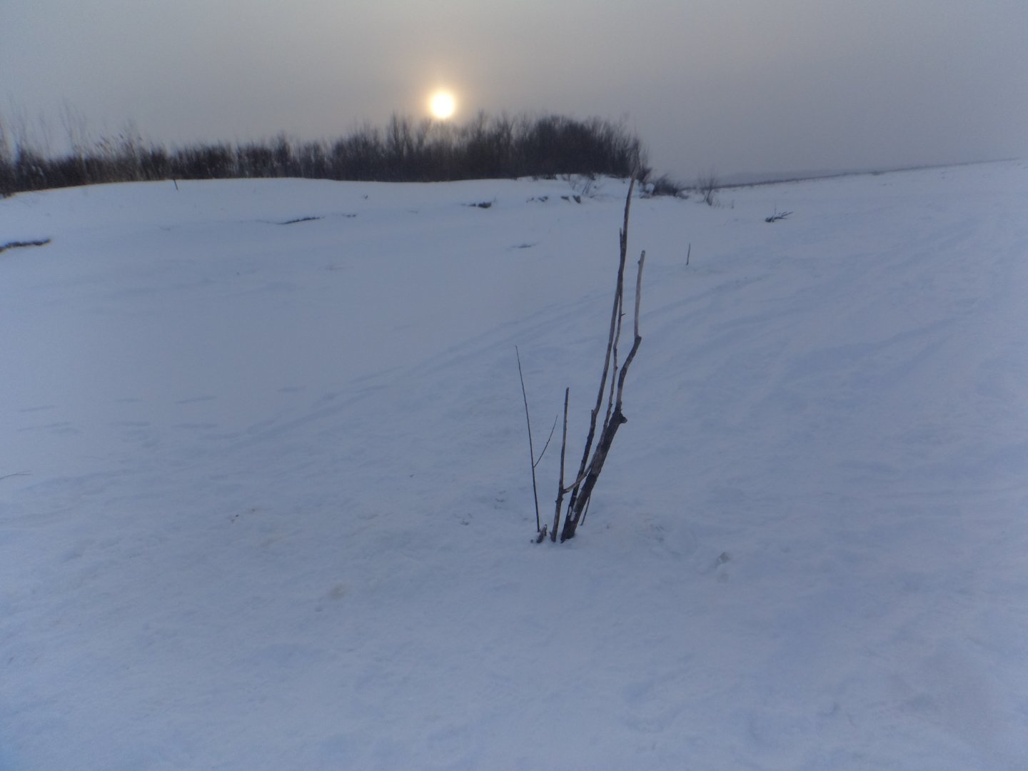 DSC08069.JPG