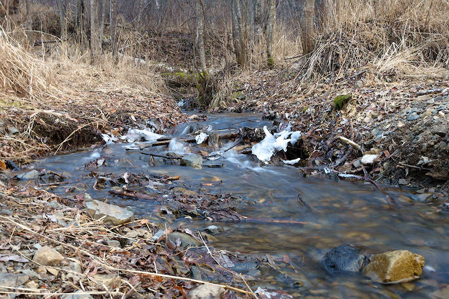 DSC08074.jpg