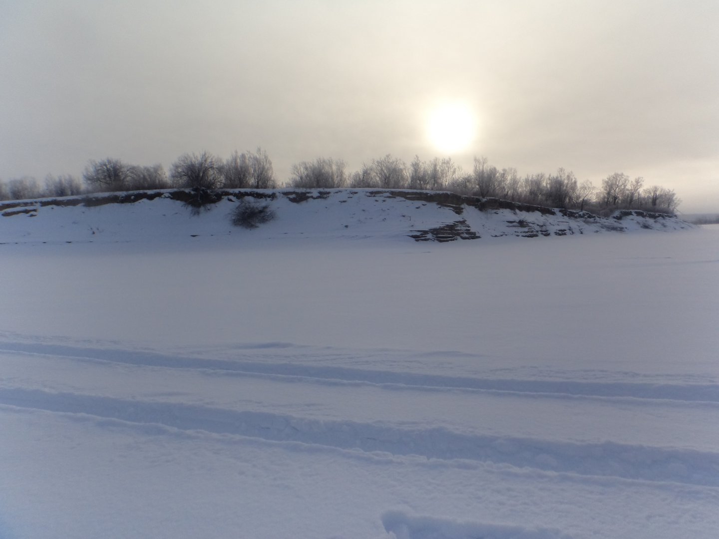 DSC08075.JPG