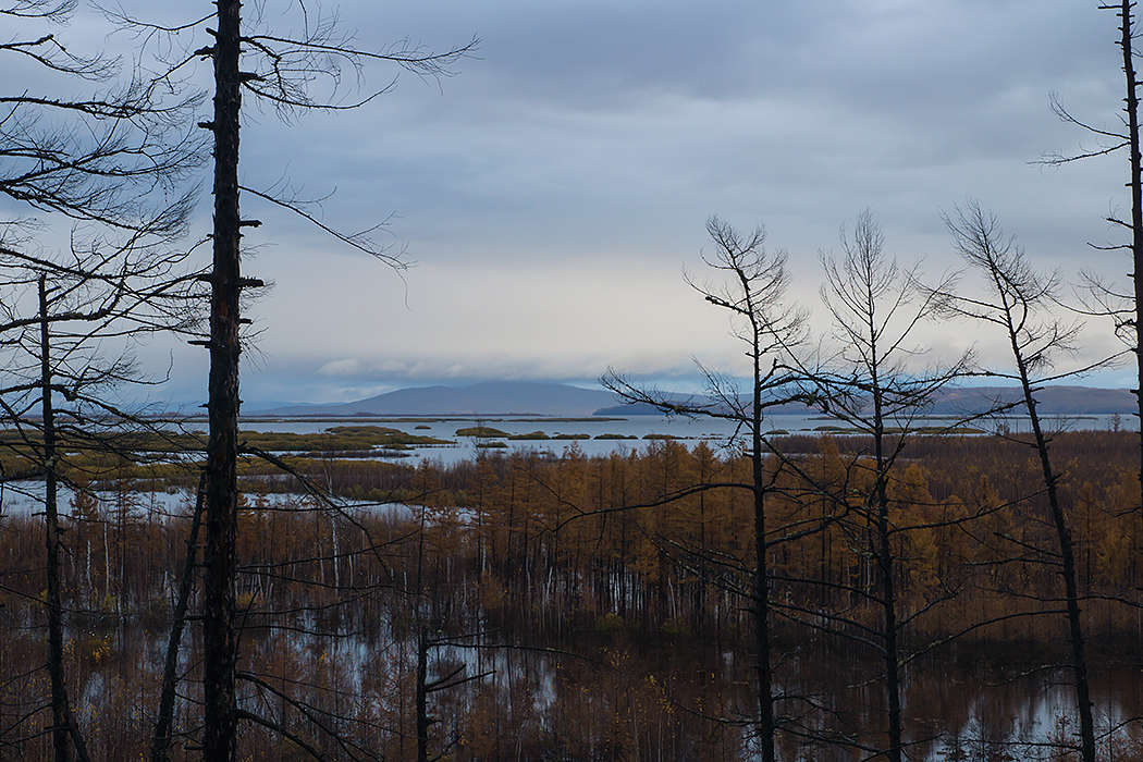 DSC08079.jpg