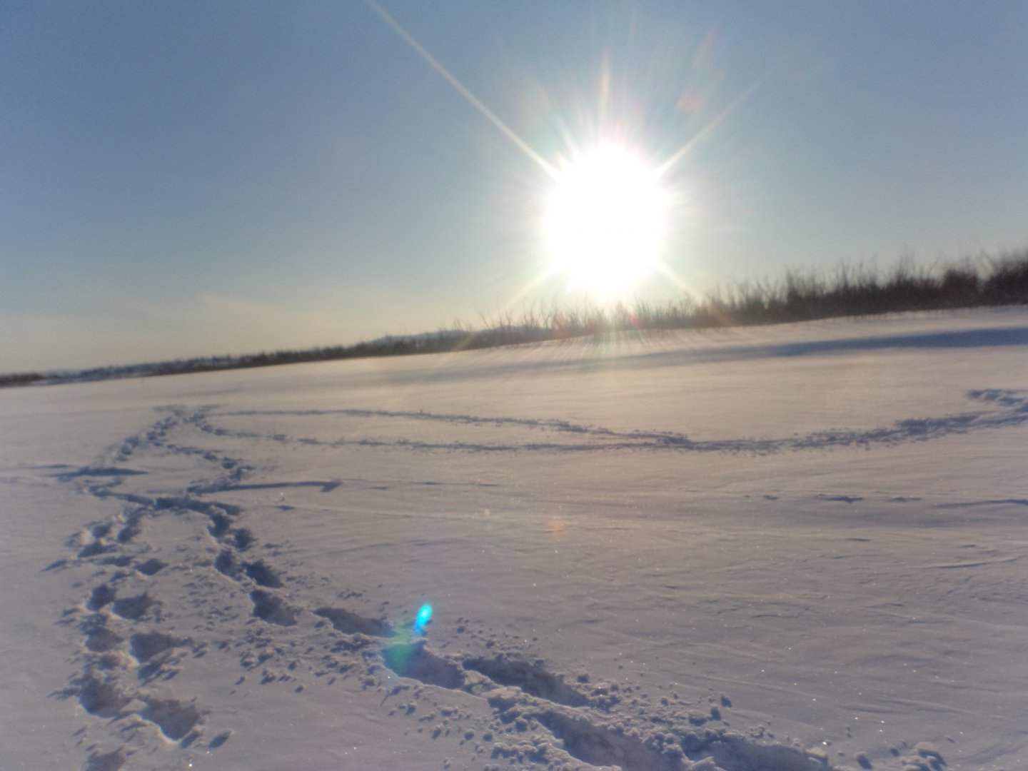 DSC08092.JPG
