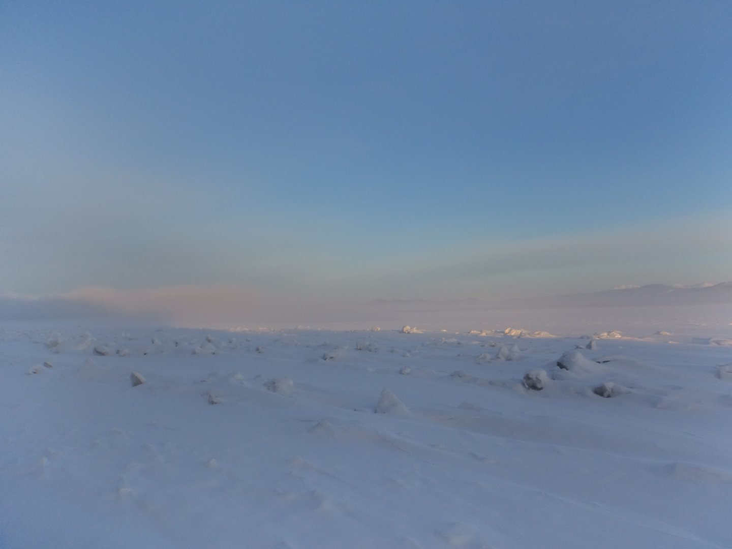 DSC08102.JPG