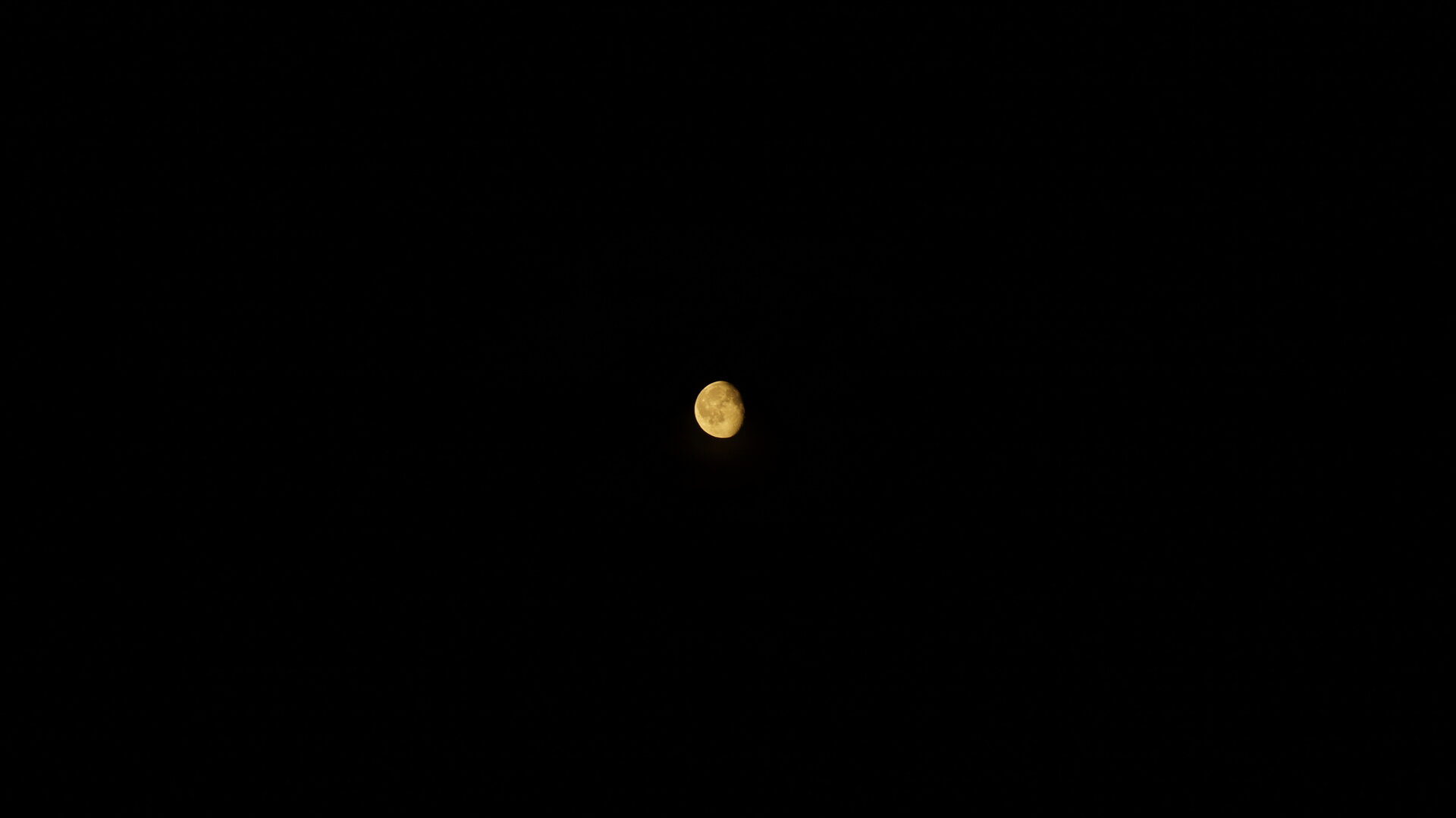 DSC08112.JPG
