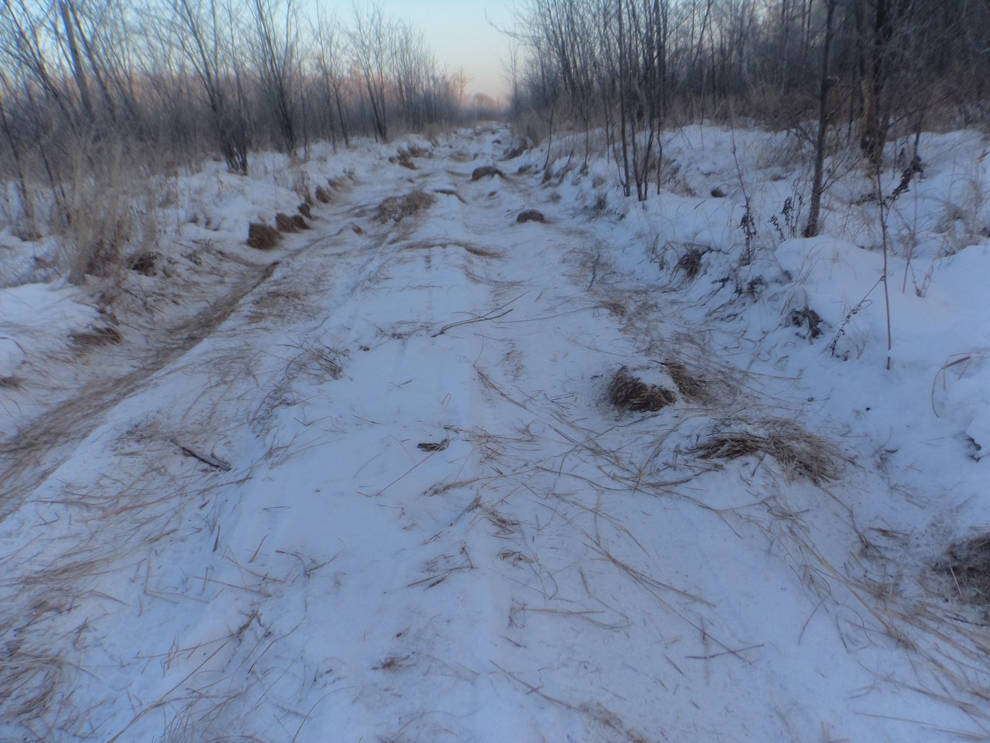 DSC08204.JPG