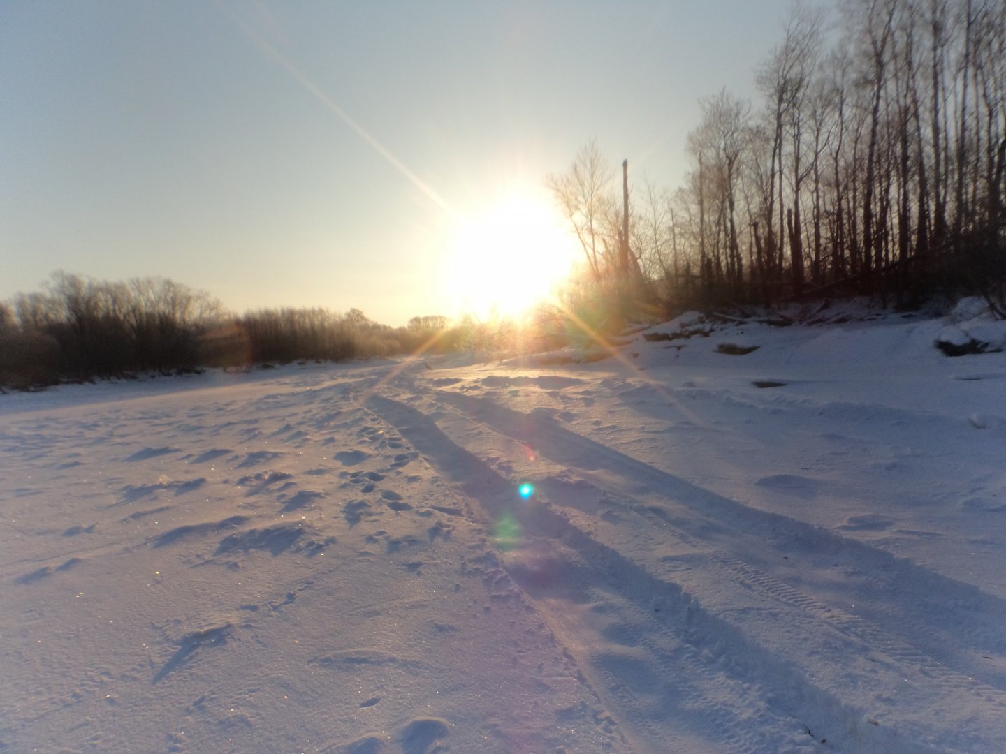 DSC08205.JPG