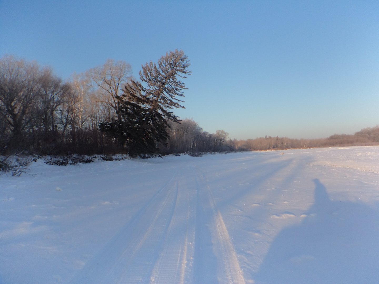 DSC08206.JPG