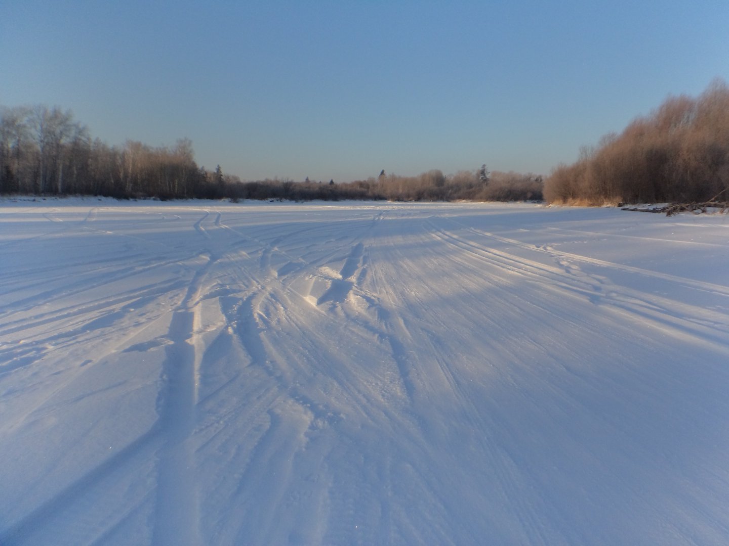DSC08208.JPG