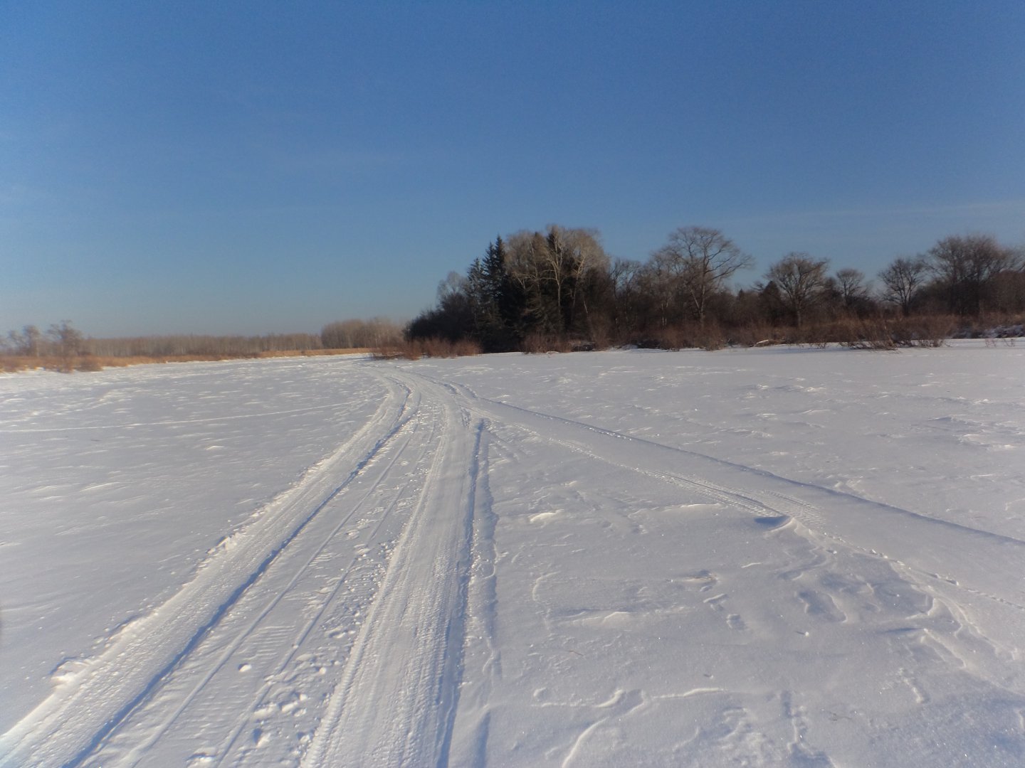 DSC08215.JPG