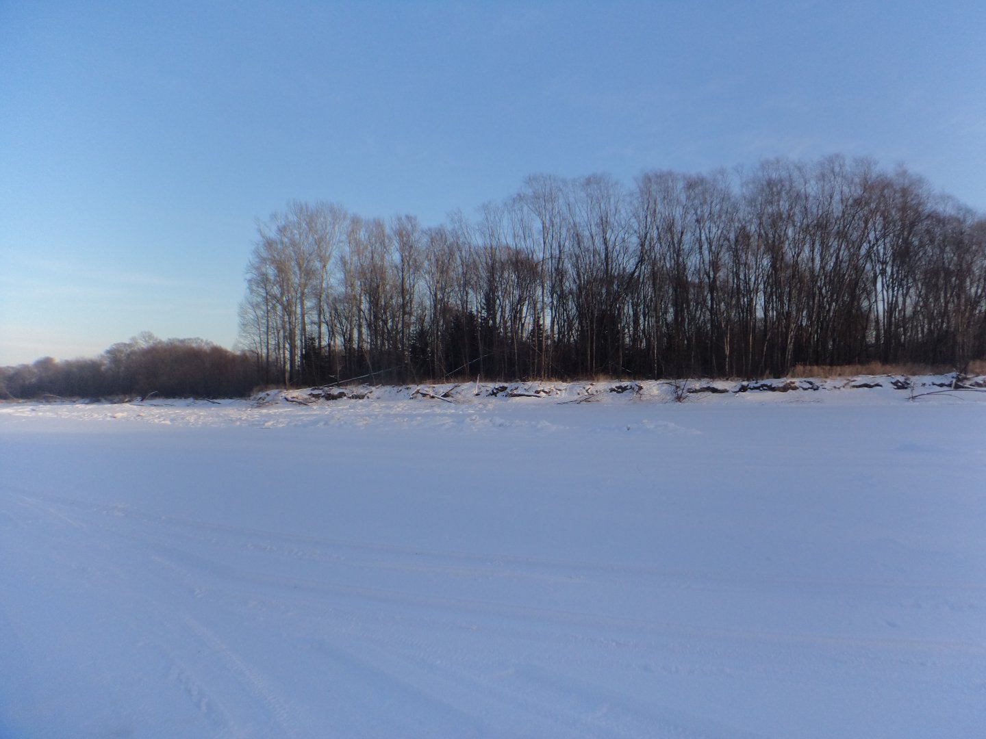DSC08223.JPG